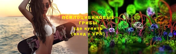 индика Богородицк