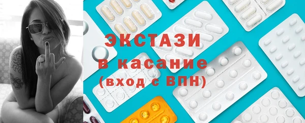 индика Богородицк