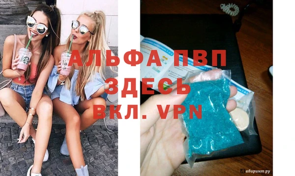 метадон Богданович