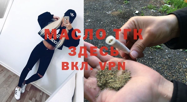 индика Богородицк