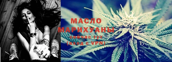 индика Богородицк