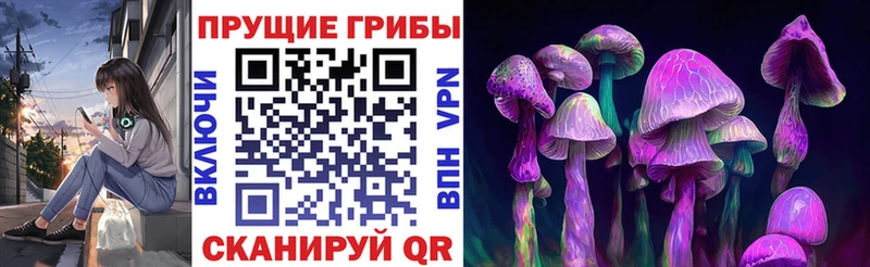Псилоцибиновые грибы Magic Shrooms  купить закладку  Павловск 